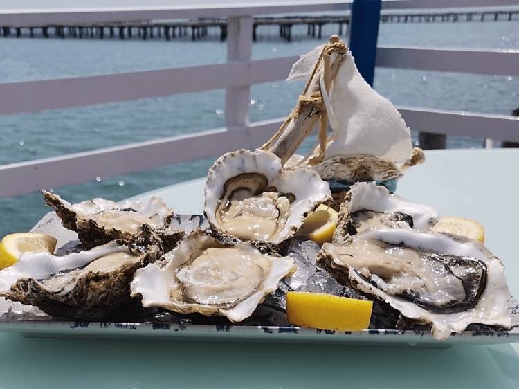 Delta de l'Ebre: visitar las mejilloneras