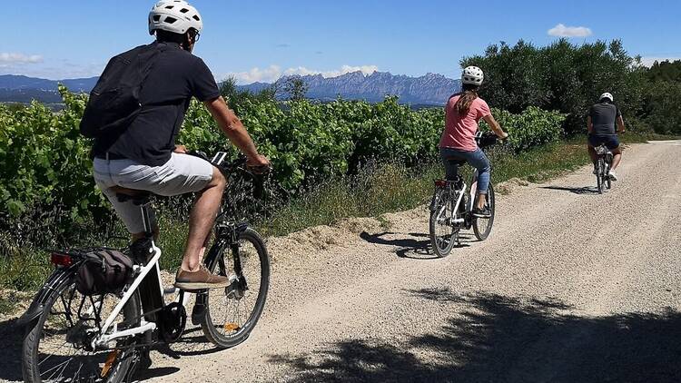 Penedès: pedalear entre viñedos