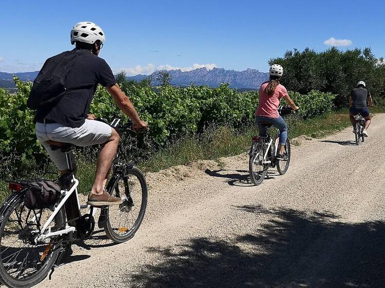 Penedès: pedalear entre viñedos