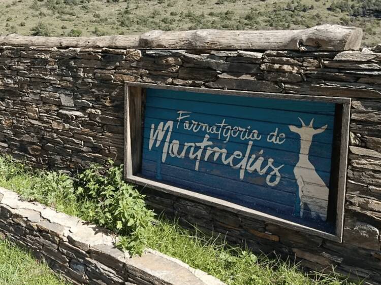 La Cerdanya: visitar una granja y su quesería