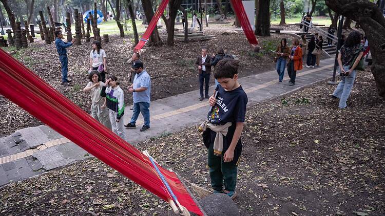 Intervinieron el Jardín Escultórico del MAM: ¿de qué trata esta nueva instalación?