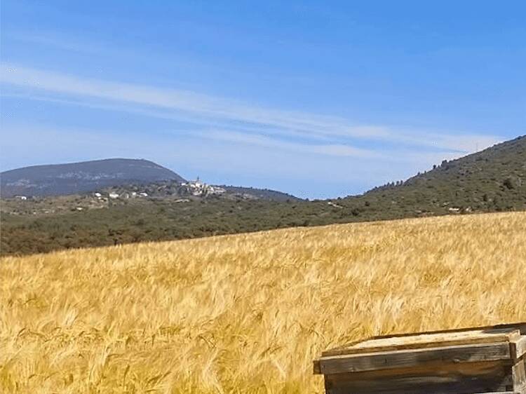 Pallars Jussà: ser apicultor por un día