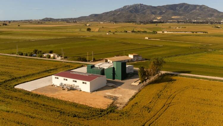 Montsià: rodar entre arrozales