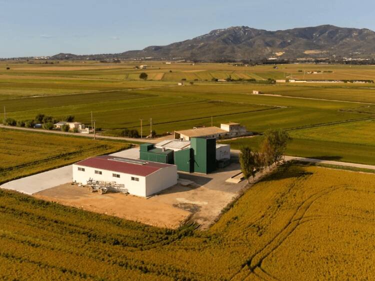 Montsià: rodar entre arrozales