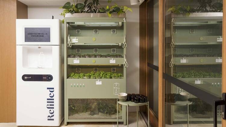 A kitchen with a garden wall