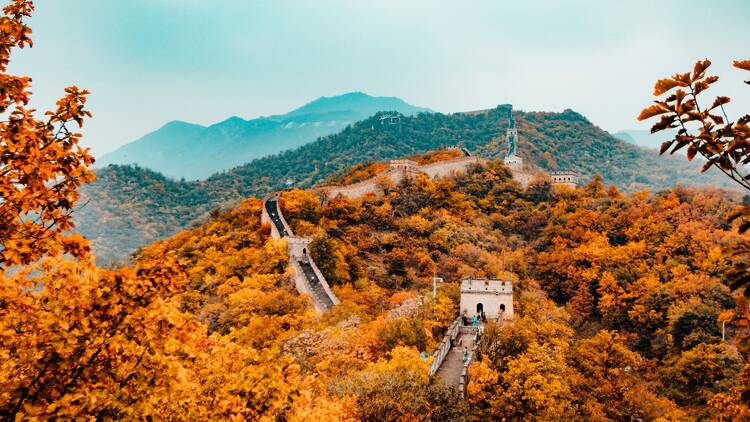 Great Wall of China Great Wall of China surrounded by autumn foliage