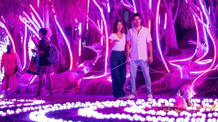 Wander through The Enchanted Garden Wander through The Enchanted Garden