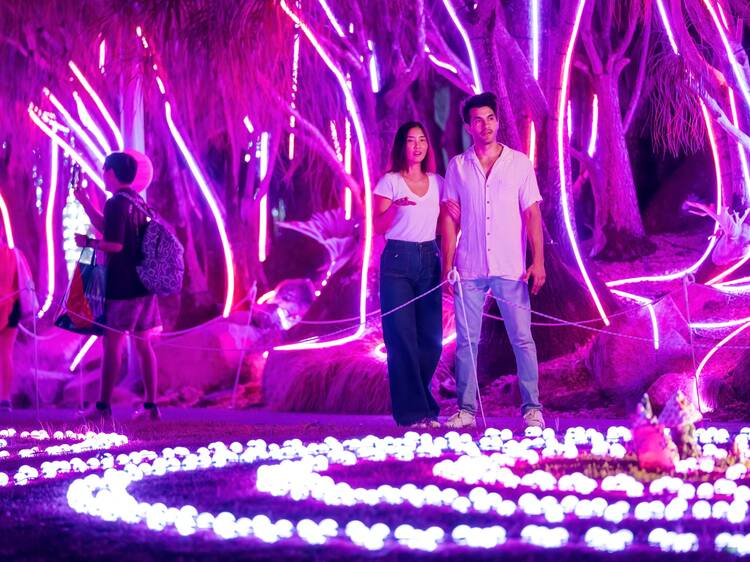 Wander through The Enchanted Garden Wander through The Enchanted Garden