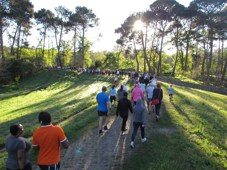 Constantia Greenbelt parkrun