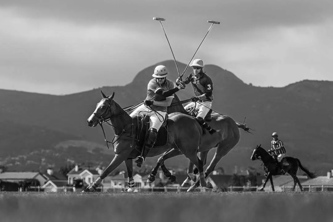 Standard Bank Polo Test Match at Val De Vie Estate