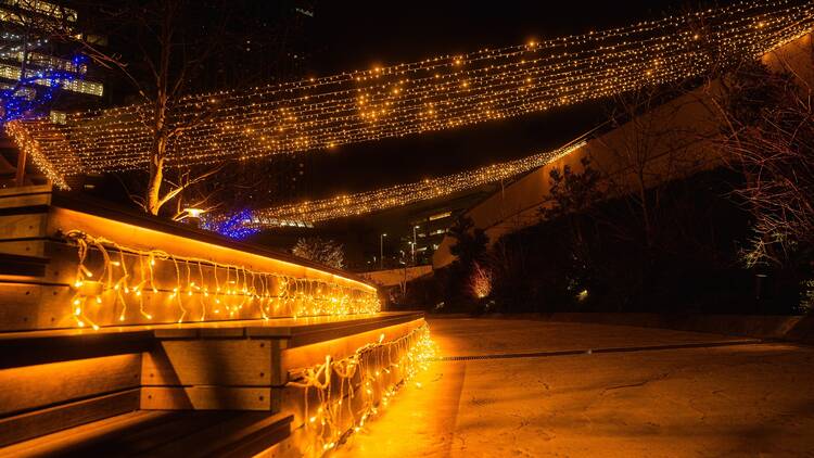 Namba Light Journey winter illuminations