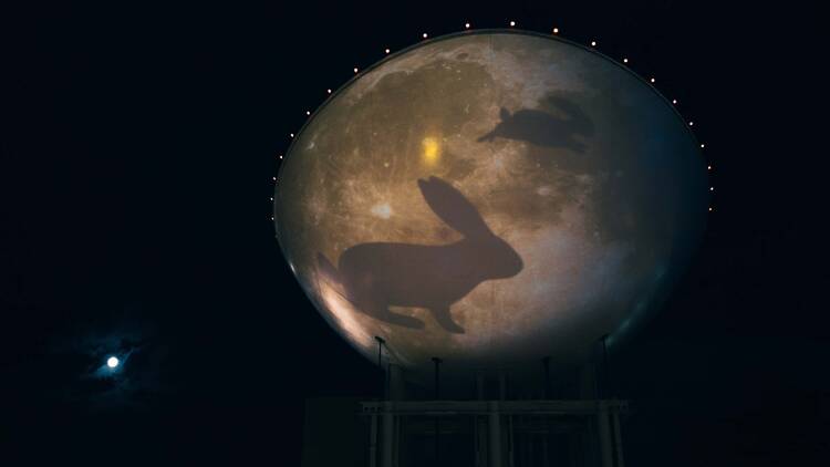 Namba Light Journey winter illuminations