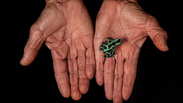 De la mano con la conservación