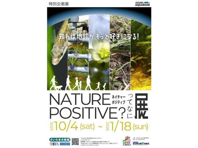 ネイチャーポジティブってなに？展