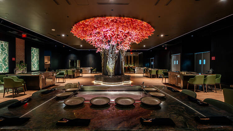 Dream360 at American Dream