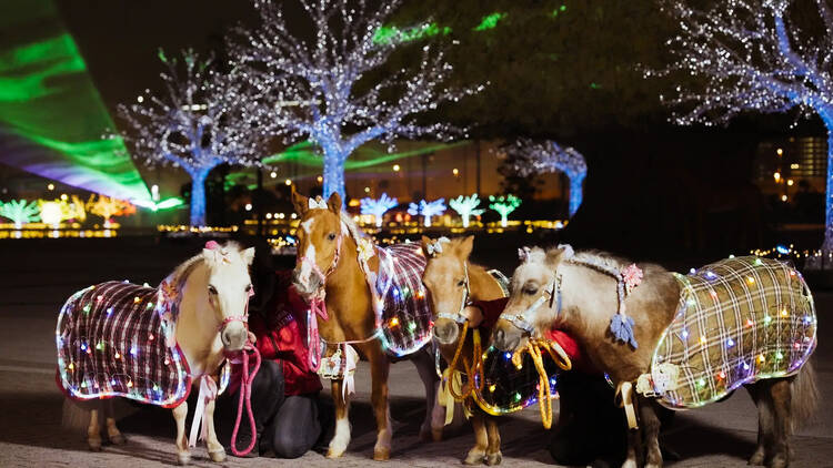 東京メガイルミ