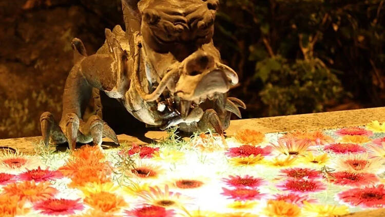 HANA・BIYORI×竹あかり「HANAあかり」