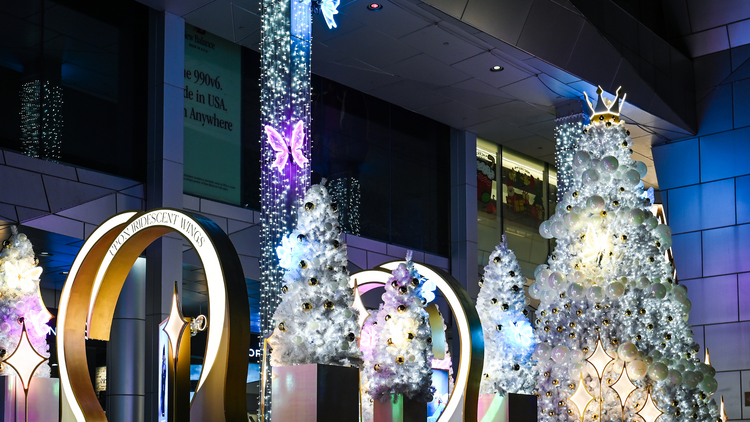 Upon Iridescent Wings