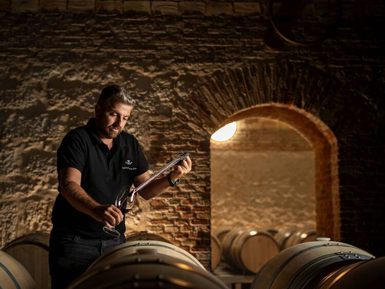 Los "Óscar del vino" premian: España tiene la mejor bodega del mundo este 2025 (por segundo año consecutivo)