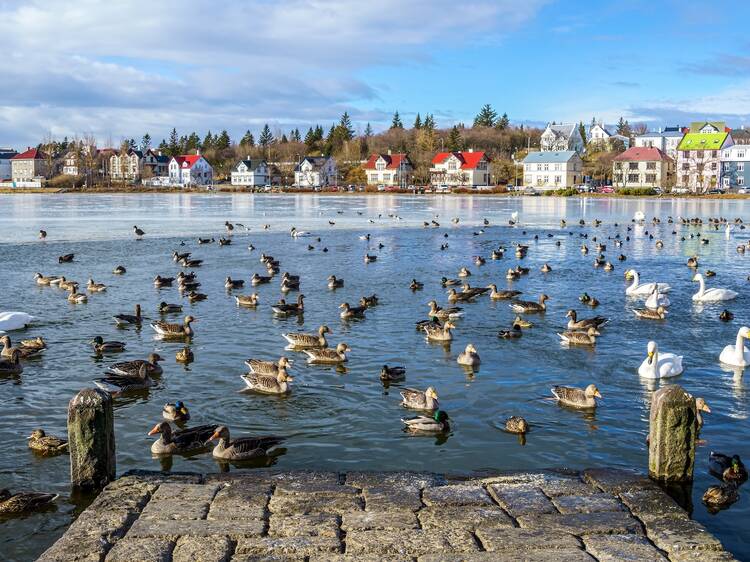 Stroll around Tjörnin Pond