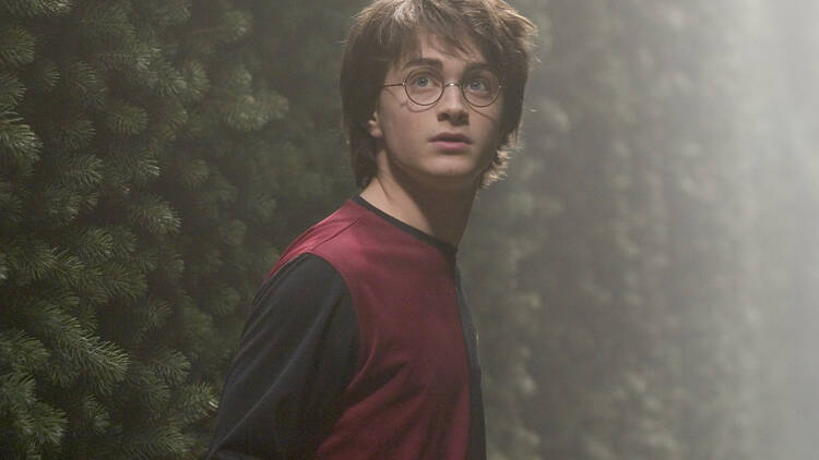 Harry Potter y el Cáliz de Fuego (Reestreno 20° Aniversario)