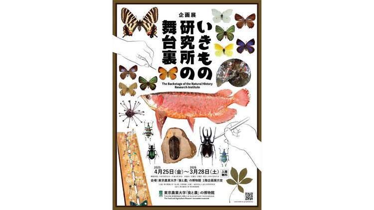 いきもの研究所の舞台裏