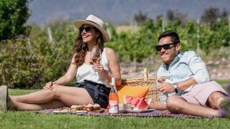 Picnic con vistas únicas: plazas, diques y rincones verdes Picnic con vistas únicas: plazas, diques y rincones verdes