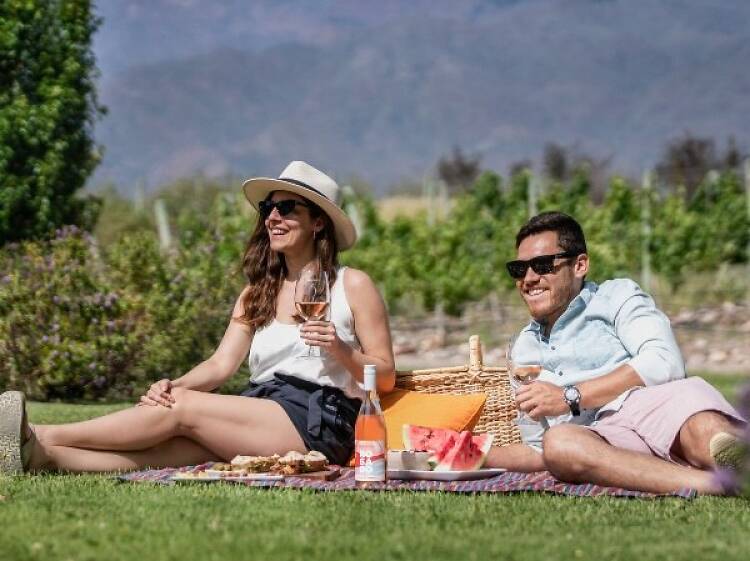 Picnic con vistas únicas: plazas, diques y rincones verdes Picnic con vistas únicas: plazas, diques y rincones verdes