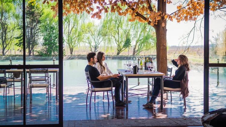 Mansas propuestas para disfrutar una experiencia completa Mansas propuestas para disfrutar una experiencia completa