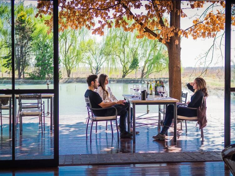 Mansas propuestas para disfrutar una experiencia completa Mansas propuestas para disfrutar una experiencia completa