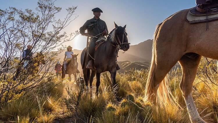 Cabalgatas con alma de montaña a solo minutos de la ciudad Cabalgatas con alma de montaña a solo minutos de la ciudad