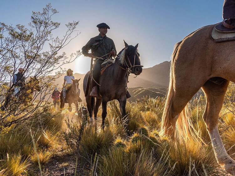 Cabalgatas con alma de montaña a solo minutos de la ciudad Cabalgatas con alma de montaña a solo minutos de la ciudad