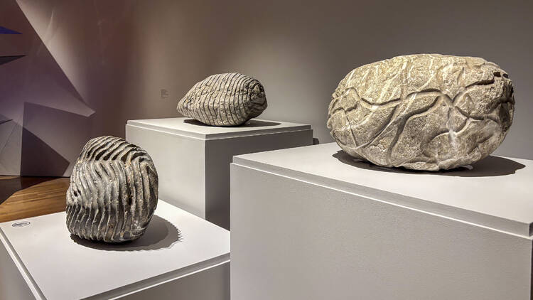 Geles Cabrera. Partituras corporales Museo del Palacio de Bellas Artes