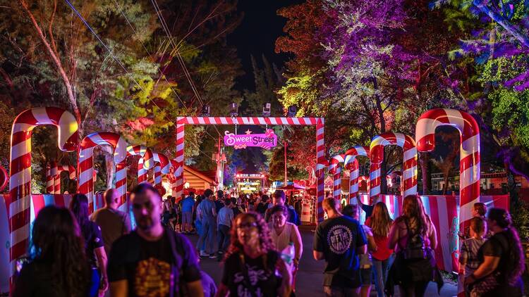 Christmas Wonderland