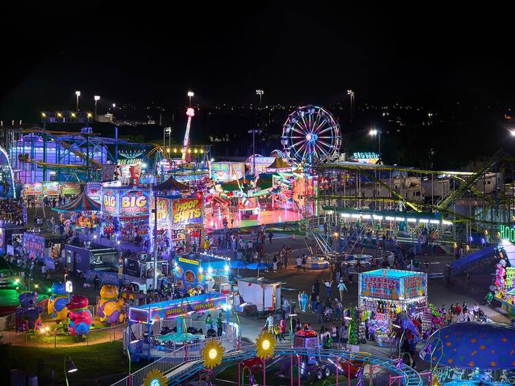 Christmas Wonderland Christmas Wonderland