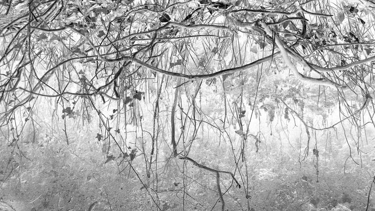 Arzu Arbak, Mundus Arzu Arbak, Mundus