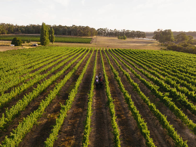 The world’s best wine region for 2025 isn’t in France or Italy – it’s in Australia