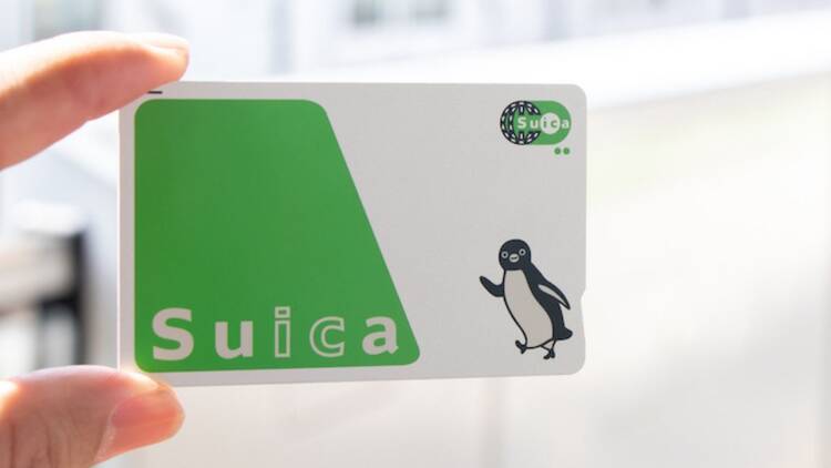 Suica card Suica card