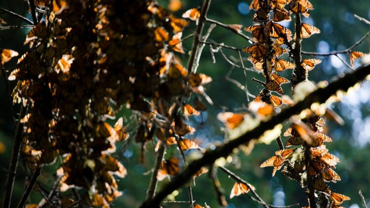Santuario Piedra Herrada