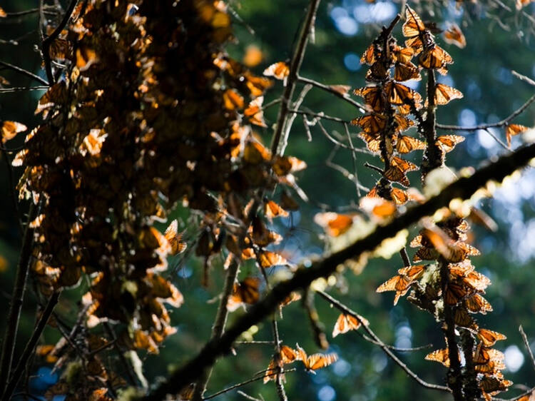 Santuario Piedra Herrada