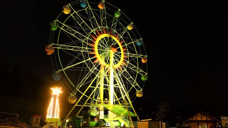 Wonder Night Hill 2025 Wonder Night Hill 2025