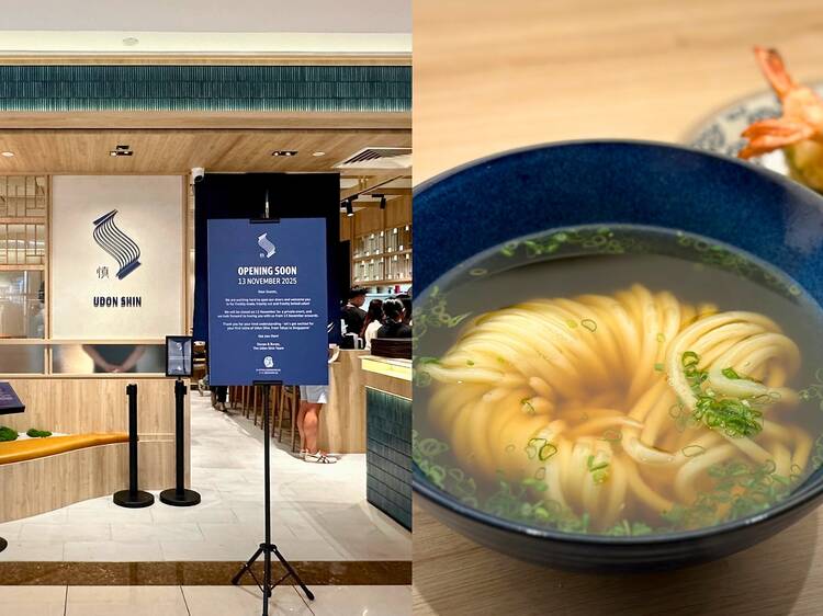 Rating everything we tried at Udon Shin in Singapore, a famous udon stall from Tokyo with 3-hour queues
