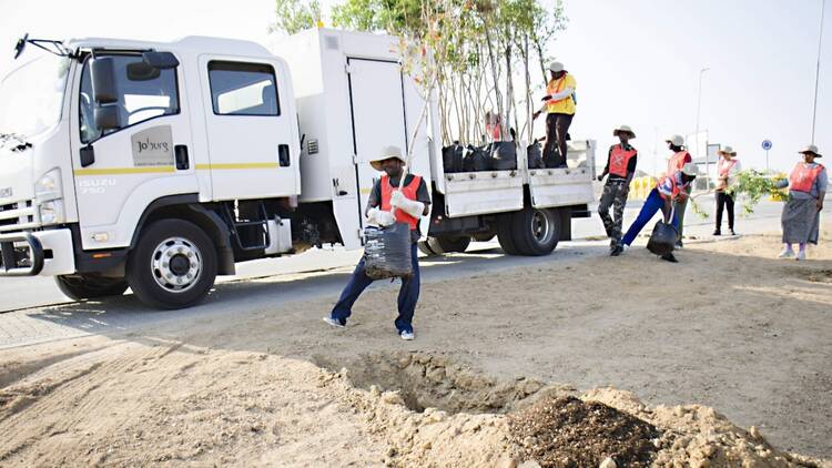 Johannesburg Zoo and Fourways Improvement District plant trees around Johannesburg