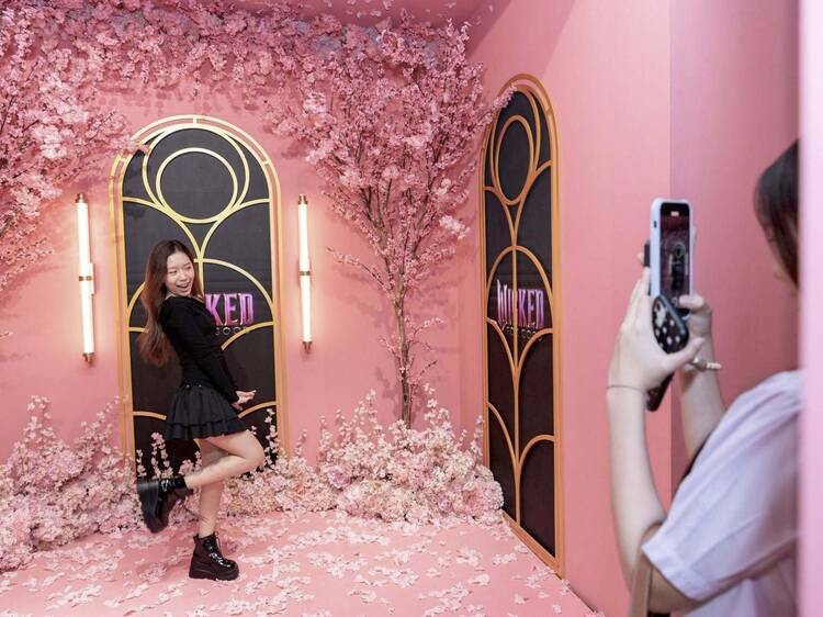 ครั้งแรกและครั้งเดียวในไทยกับประสบการณ์แฟนซีสุดอิมเมอร์ซีฟ ในโลกเวทย์มนตร์ของ Wicked: For Good Experience