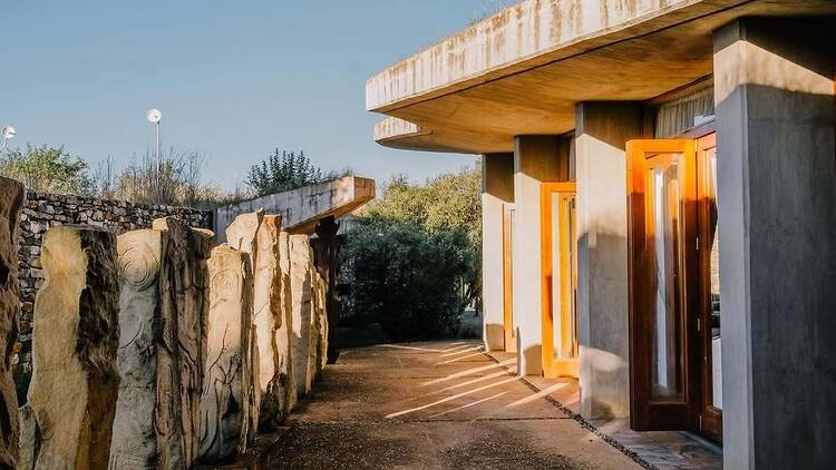 Forum Homini and Roots