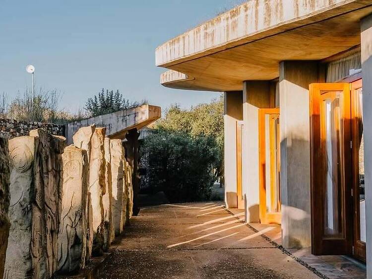 Forum Homini and Roots