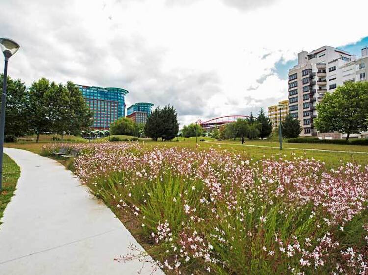 Extinta Feira de Benfica vai renascer em 2026 (à pala de uma recordação de Nuno Markl)