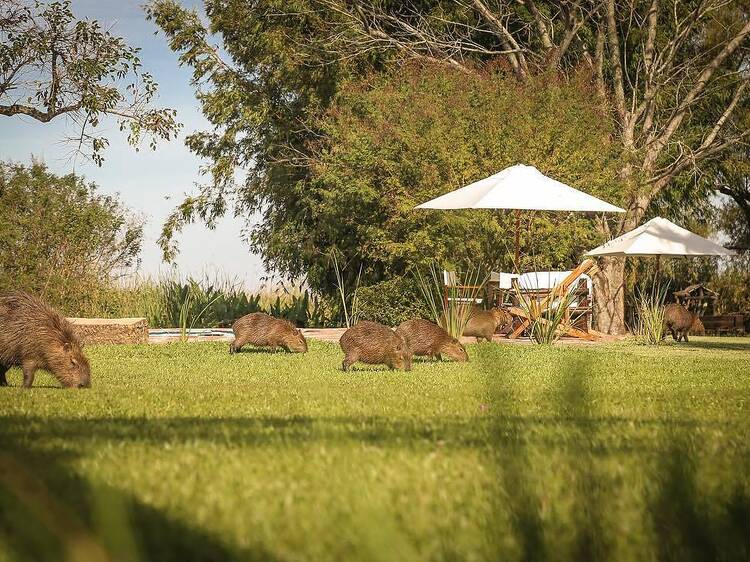 Aguapé Lodge Aguapé Lodge