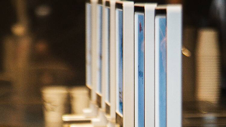 Cucurucho and Company 