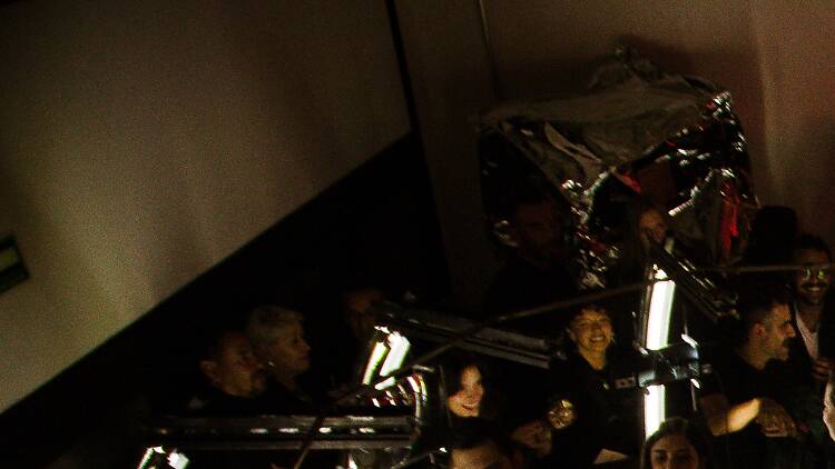 Cucurucho and Company